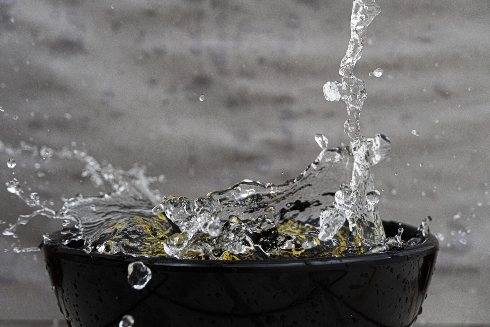 Récupérateur d'eau de pluie : installation et utilisation au jardin