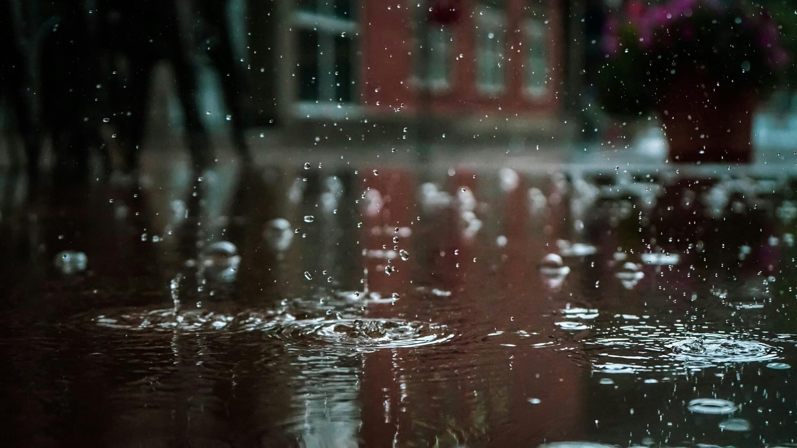 Récupérateur d'eau de pluie : installation et utilisation au jardin