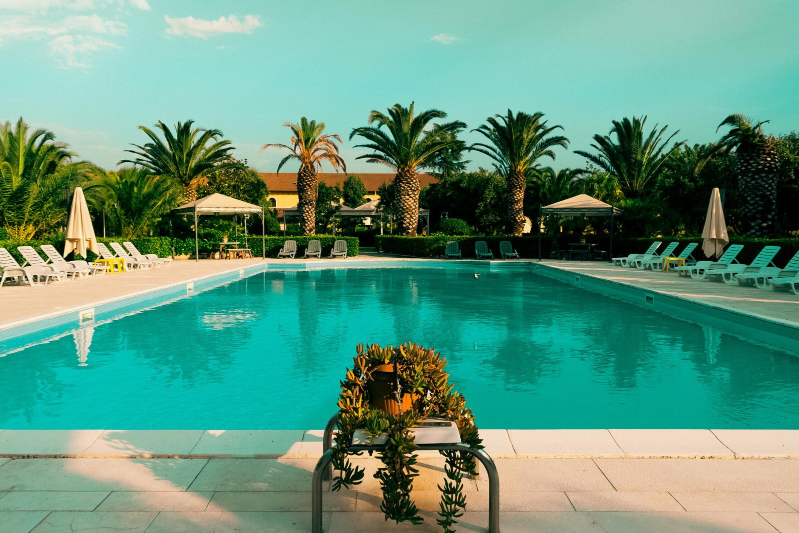 Skimmer piscine : rôle, nettoyage et remplacement