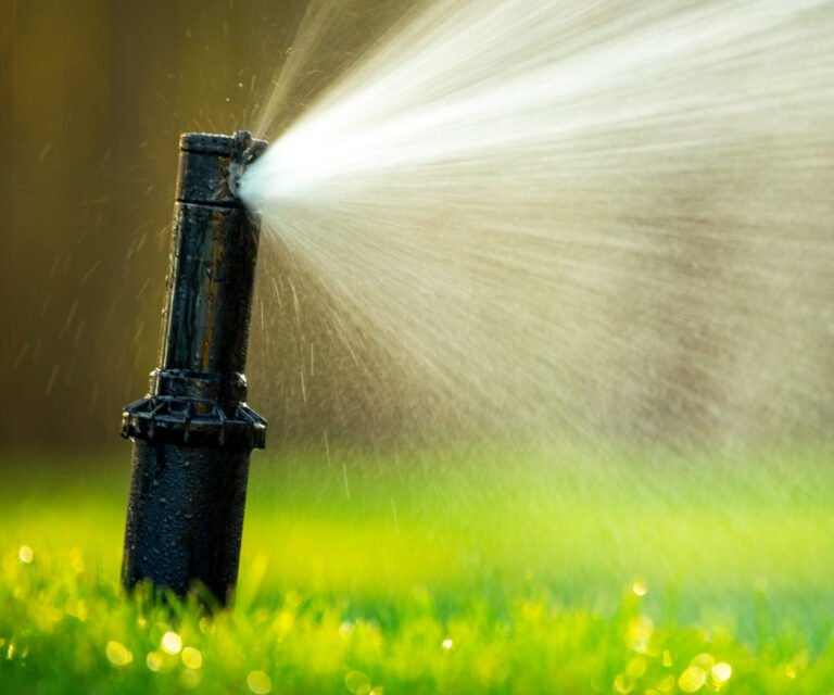 Surpresseur d'arrosage : la solution à connaître