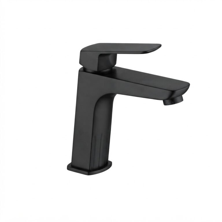 Visuel en détail du mitigeur lavabo noir Elegance Roxy
